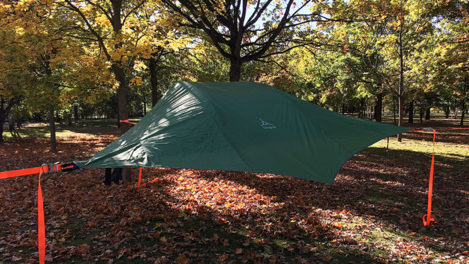 Tentsile Stingray Test