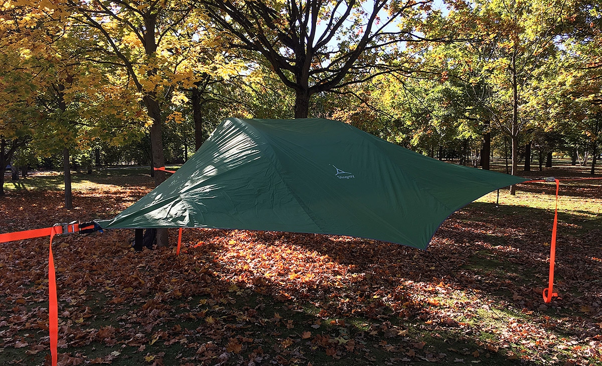 Tentsile Stingray im Test Erfahrungen mit dem riesigen Baumzelt 🥇